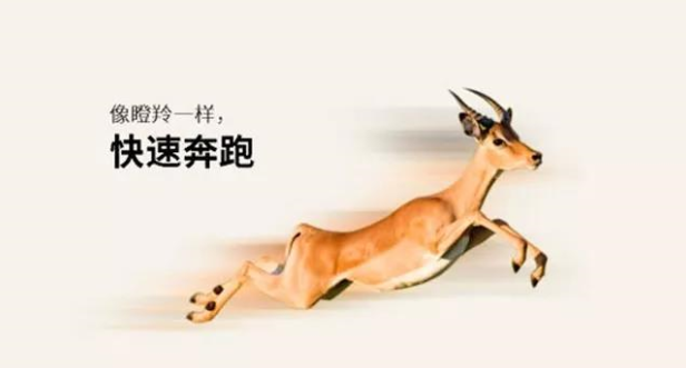 微信图片_20210113114442.png